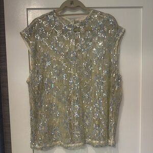 Sheer, Sequined VRG GIRL top
